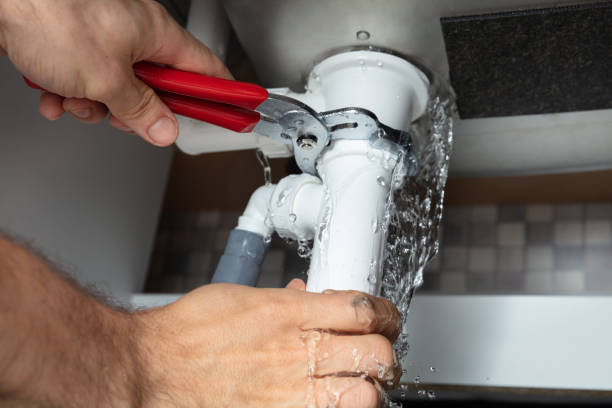 Best Local water damage restoration  in Port Barrington, IL