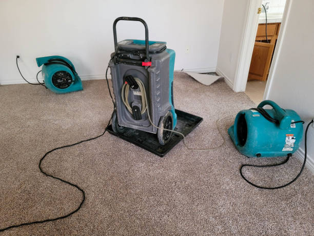 Best Commercial water damage restoration  in Port Barrington, IL