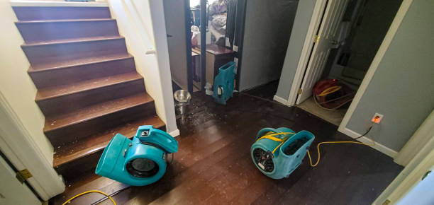 Water damage restoration insurance claims in Port Barrington, IL