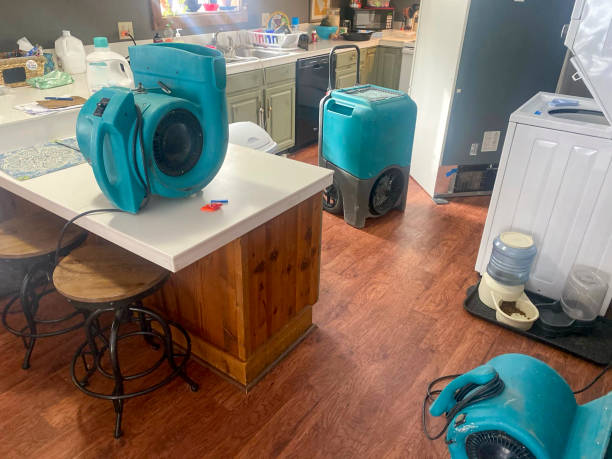 Best Mold removal after water damage  in Port Barrington, IL