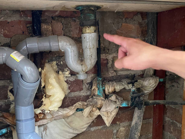 Best Flooded house restoration  in Port Barrington, IL