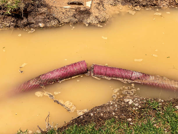 Best Water damage cleanup near me  in Port Barrington, IL