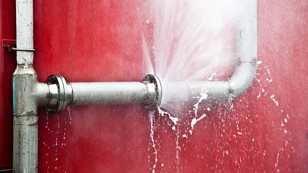 Best Professional water damage repair  in Port Barrington, IL